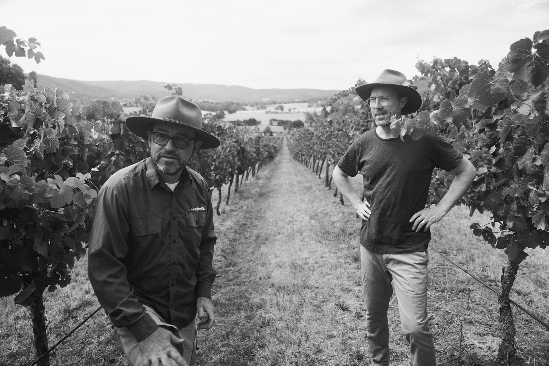 How Trapeze Wines swung into being