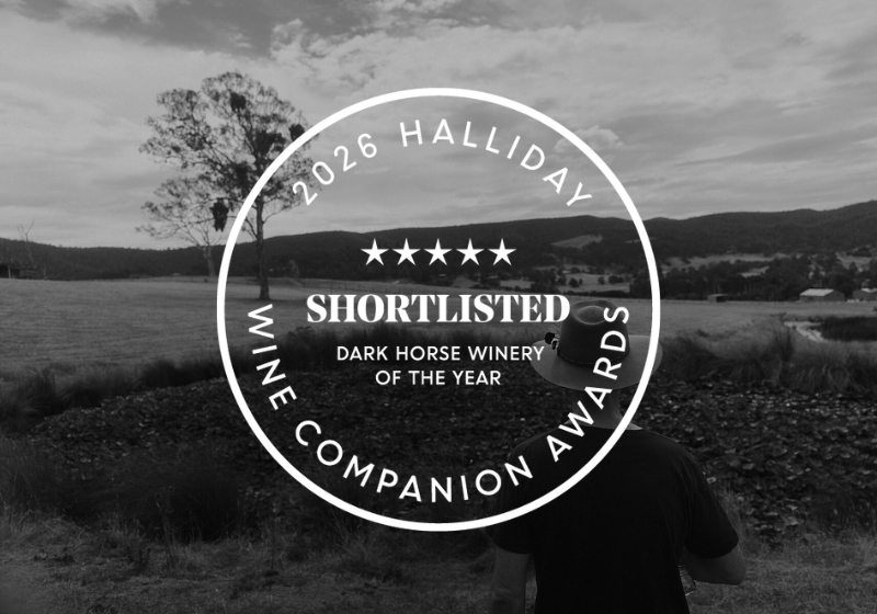 Named a Dark Horse Finalist